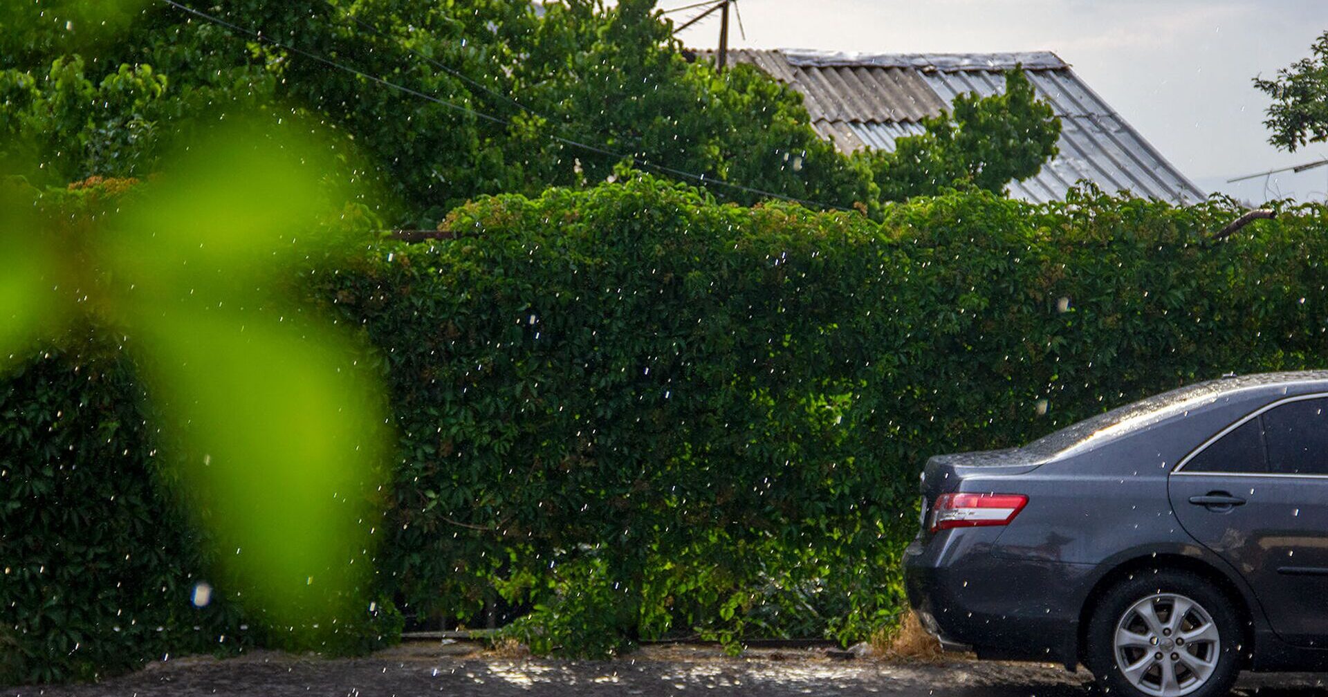 Երևանում և Հայաստանի հանրապետության մյուս շրջաններում սպասվում են տեղումներ